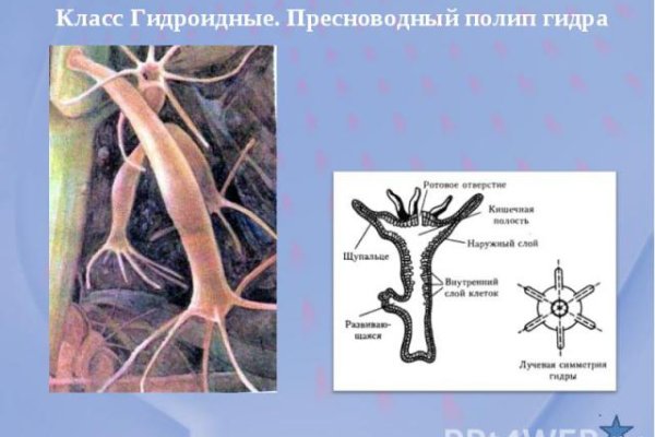 Кракен даркнет рабочая ссылка