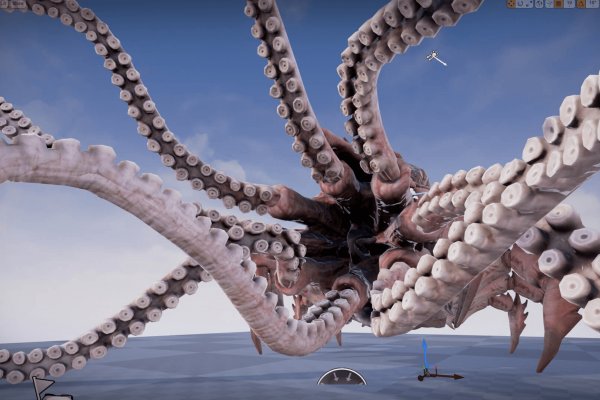 Kraken biz