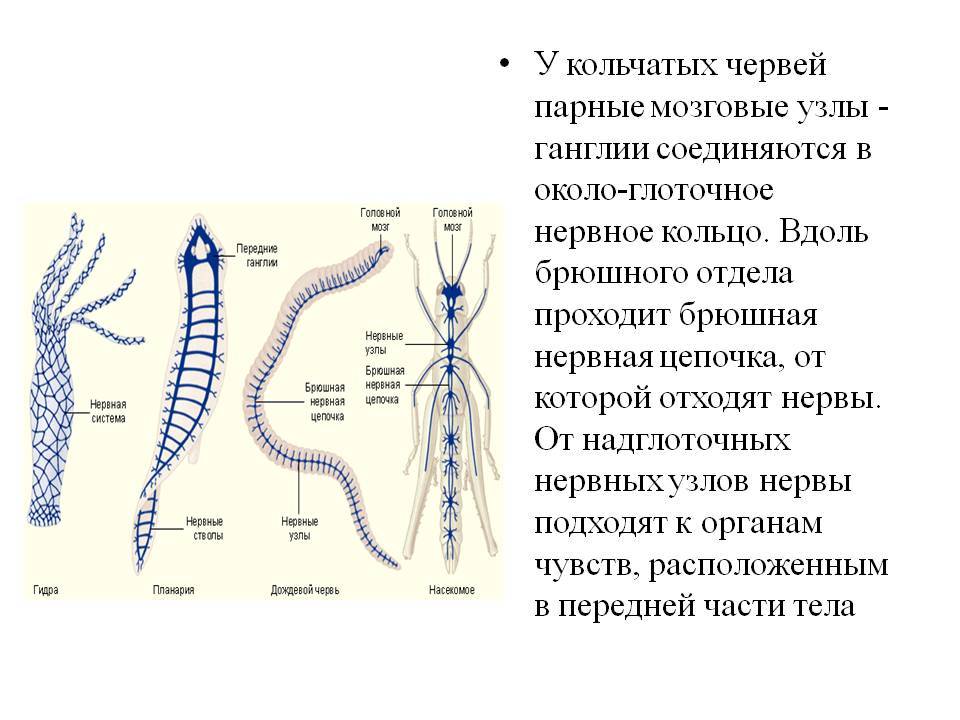 Kra40.at